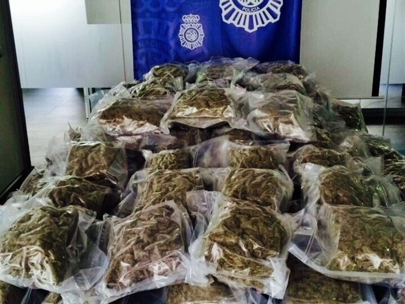 Drugs Seized in San Miguel