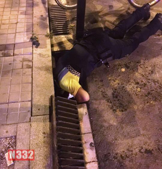 polcat1