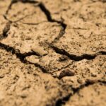 hydrological year
