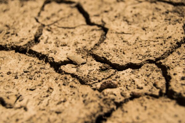 hydrological year 