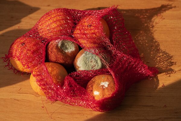 Food waste