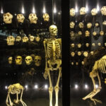 Museums in Spain