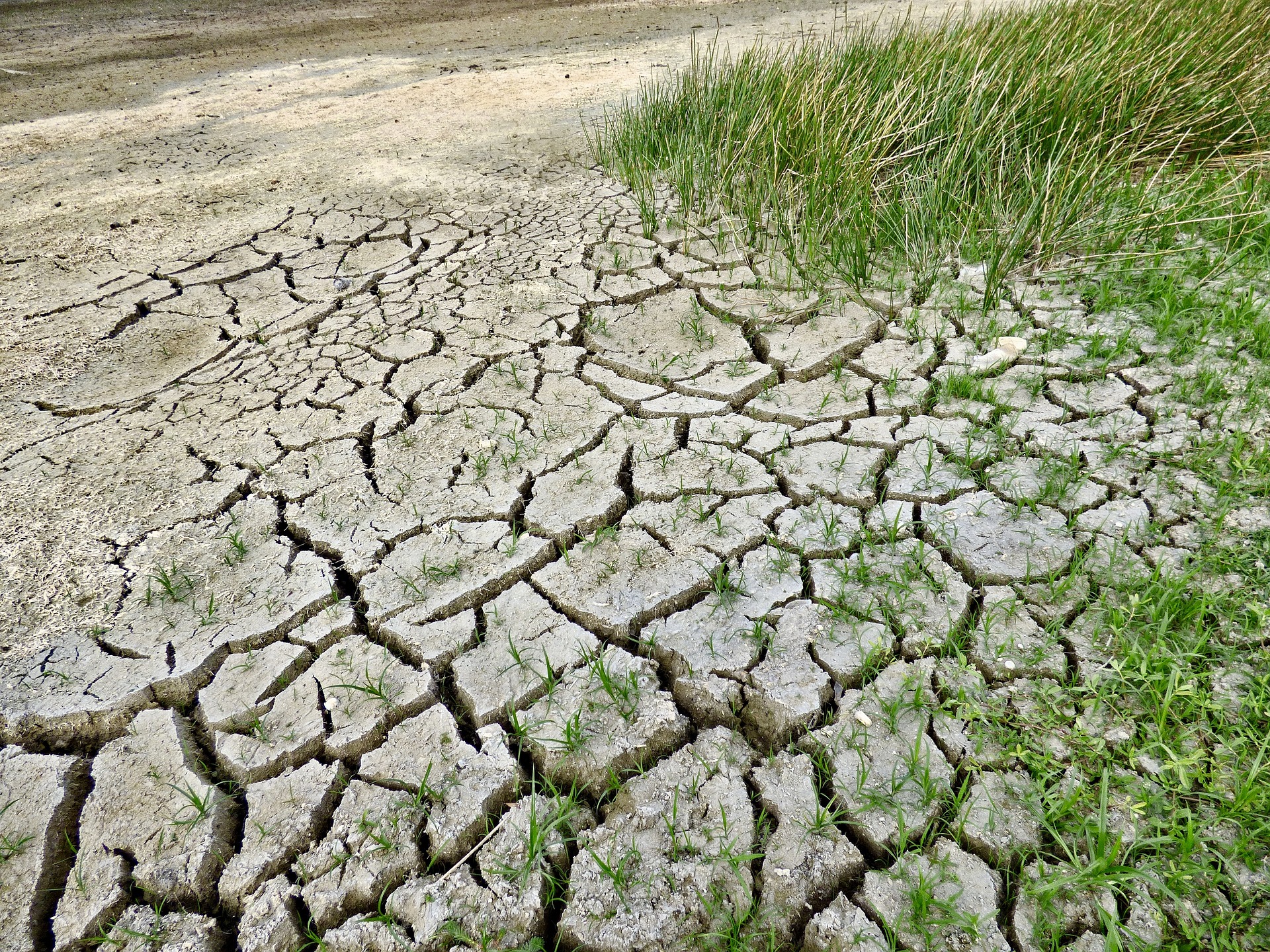 Drought in Spain