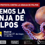 Octopus protest