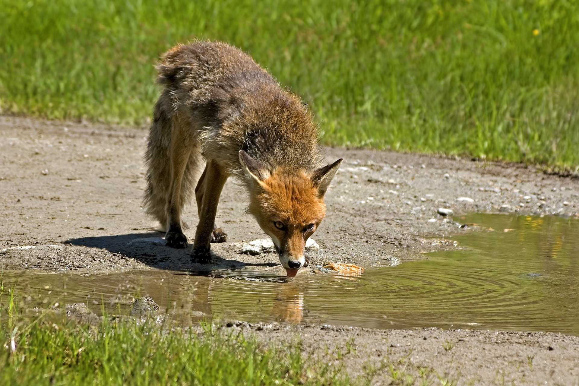 Drought on the Iberian Peninsula