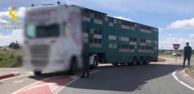 Live animal transport restrictions in Spain