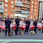 Drug detection dogs
