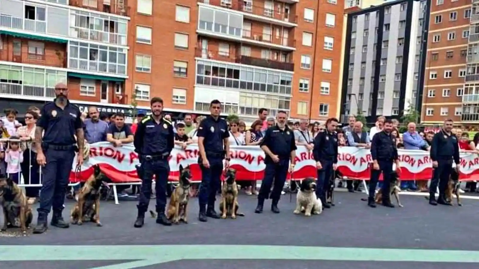 Drug detection dogs
