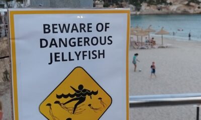 Fake beach warning signs