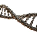 DNA