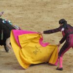 Bullfighting