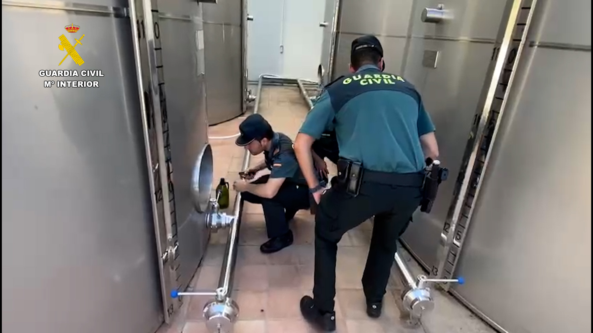 Olive oil theft