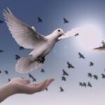 Peace