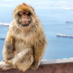 Gibraltar