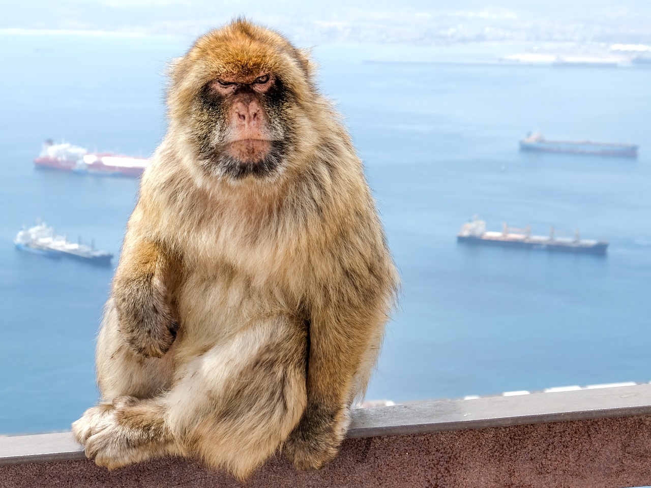 Gibraltar