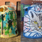 Cat homes