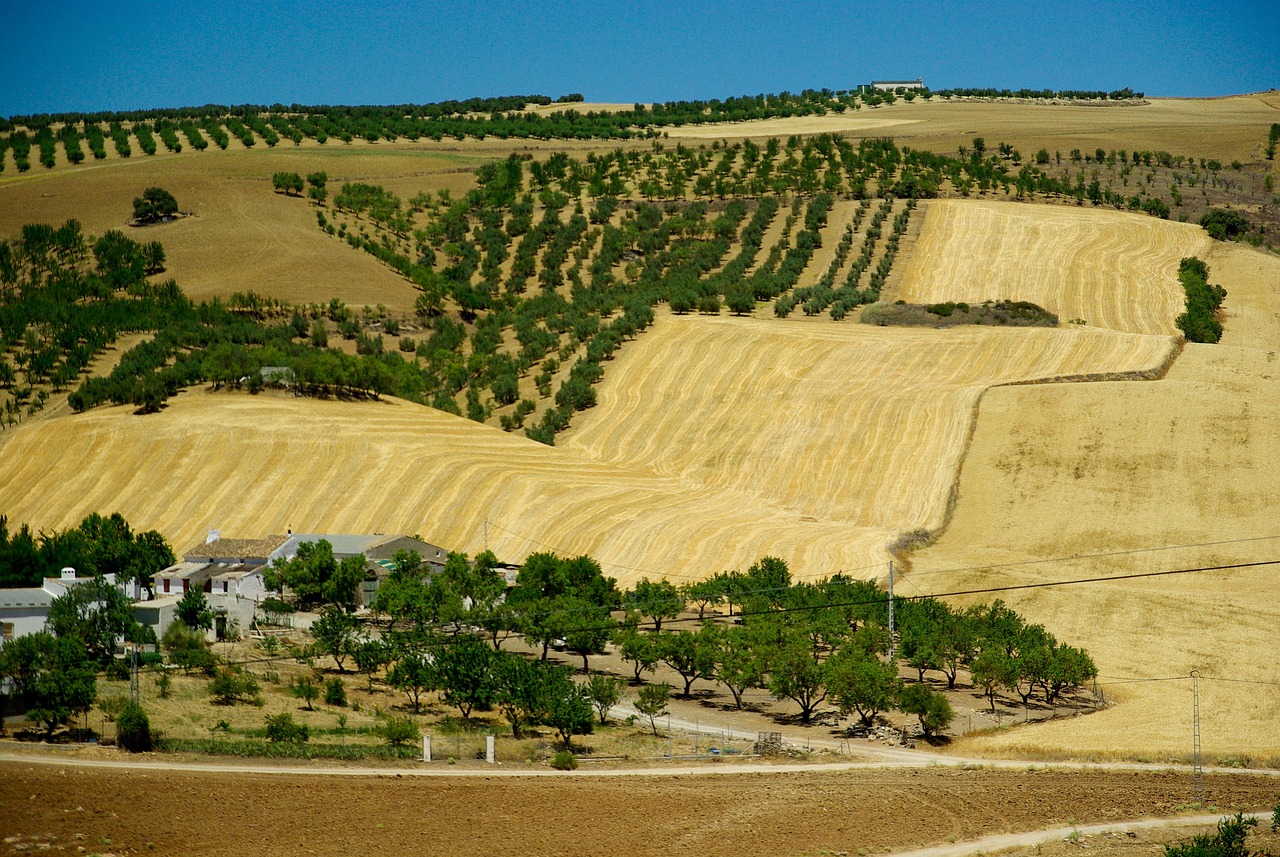 Drought in Spain