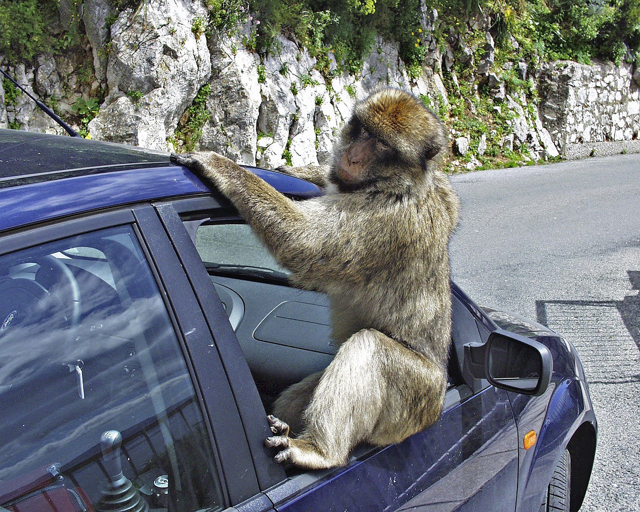 Gibraltar