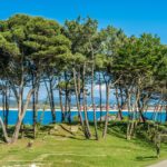 Park in Spain