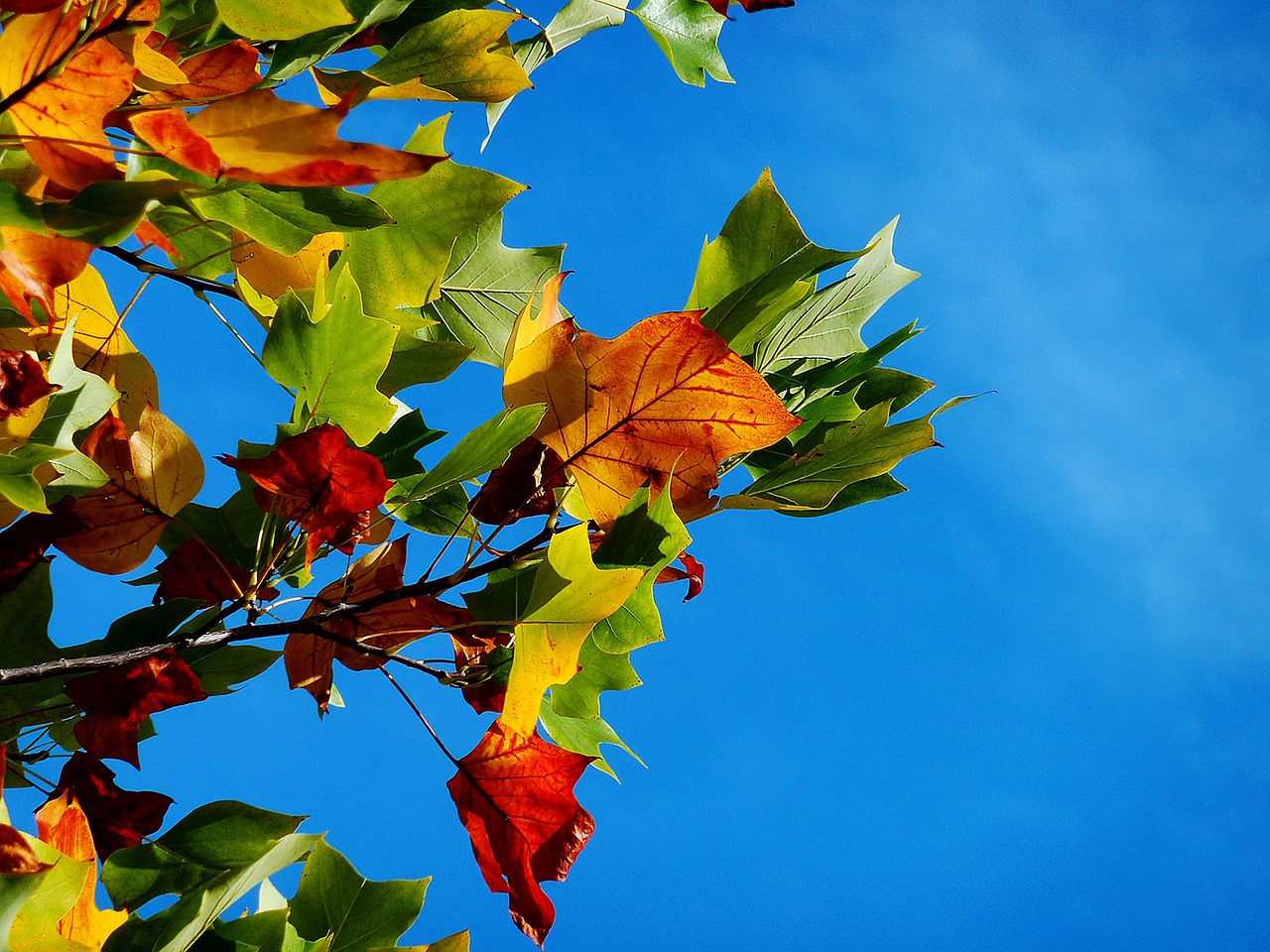 Hot autumn