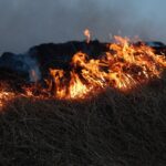 Fire photo