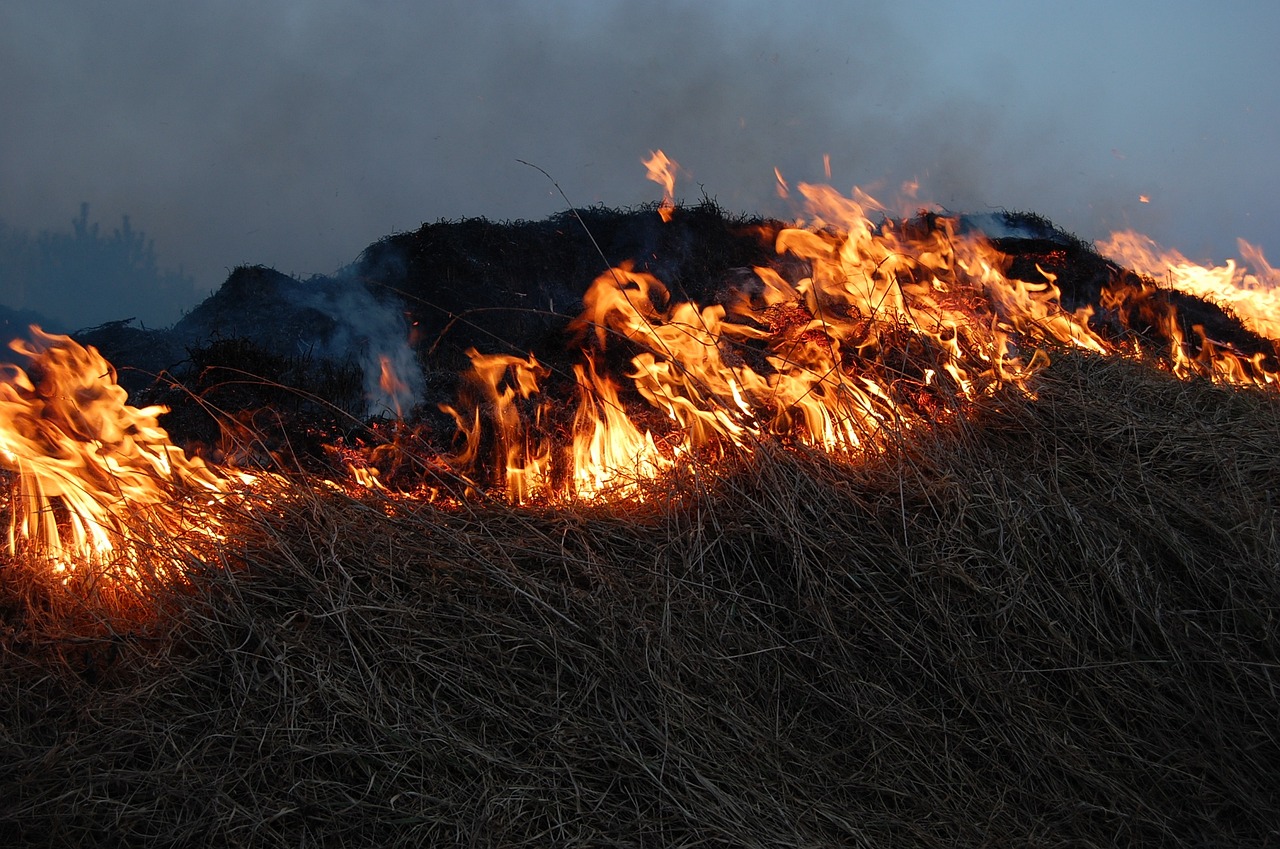 Fire photo