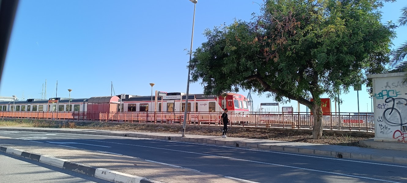 Local trains