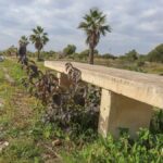 Torrevieja green spaces