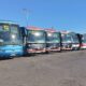 Torrevieja Buses