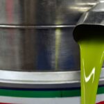Olive Oil