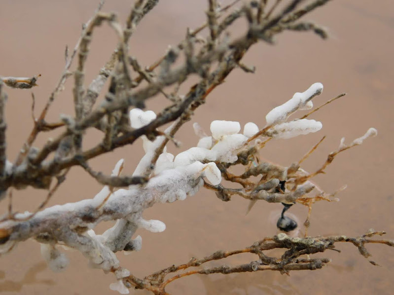 Winter in Spain