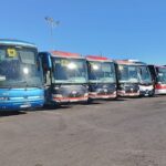 Torrevieja School Buses