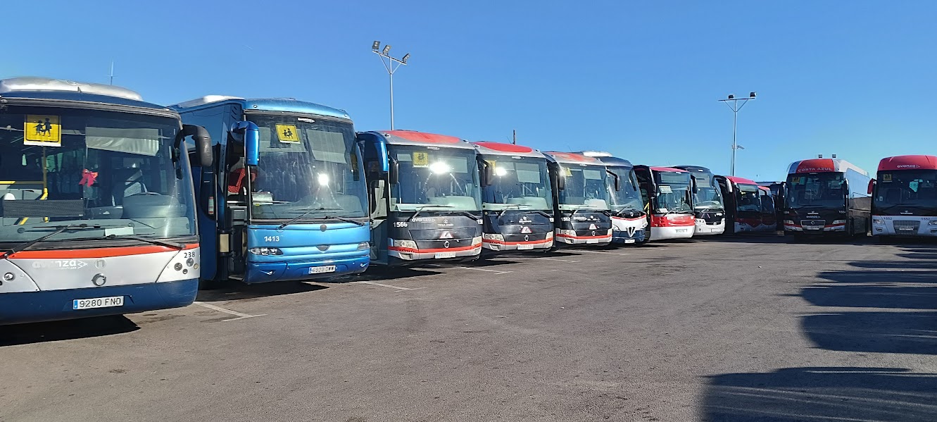 Torrevieja School Buses