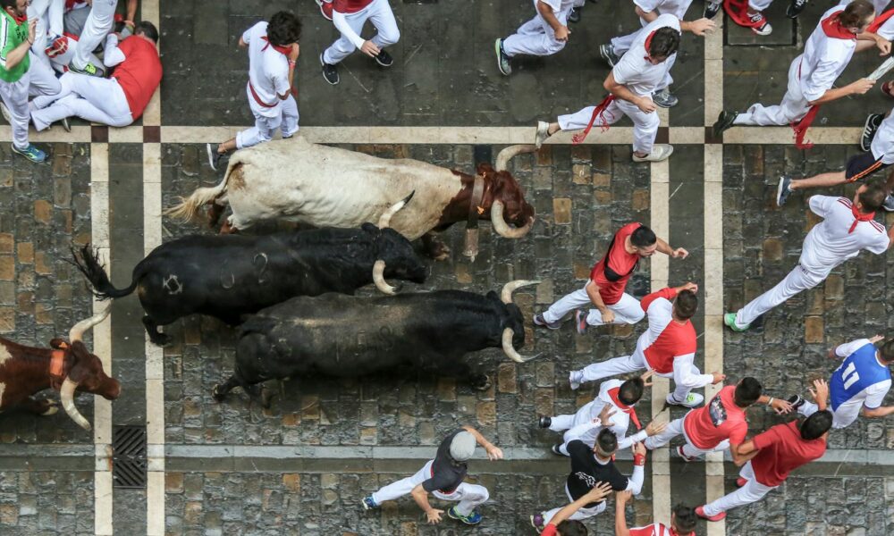 Key Events in Spain, the UK and the EU – Week of 7 to 14 July 2025 bird s eye view photography of bull surrounded with men