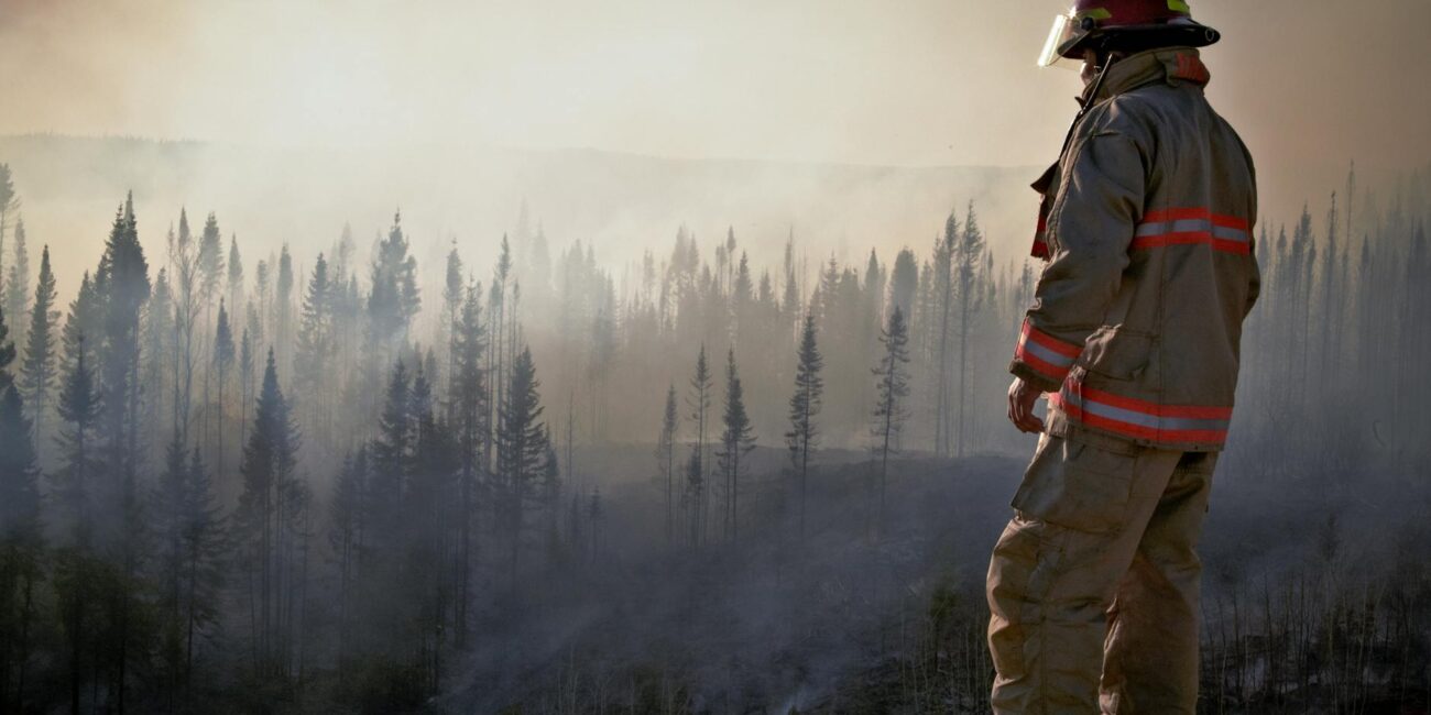 fireman in uniform looking at forest after fire