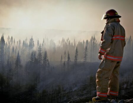 fireman in uniform looking at forest after fire