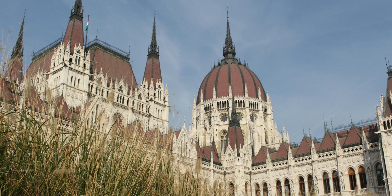 brown and white cathedral