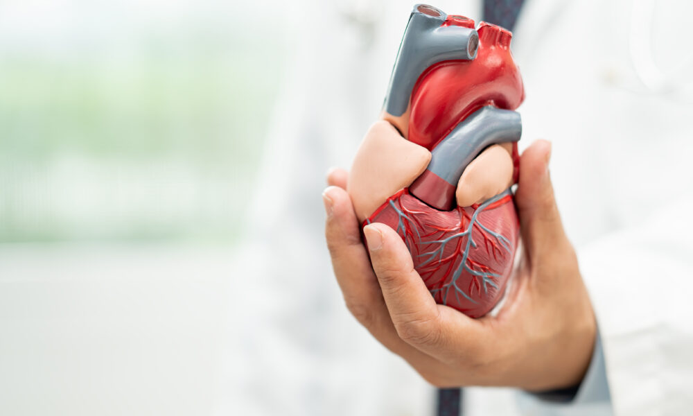Quirónsalud Torrevieja strengthens its Cardiology Service as a benchmark in advanced cardiovascular diagnosis and treatment Quirónsalud Torrevieja strengthens its Cardiology Service