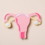 Women's health and women's healthcare concept with uterus